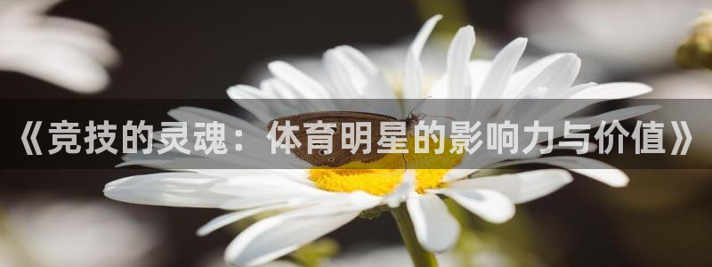 JJB竞技宝官网下载注册:《竞技的灵魂:体育明星的影响力与价